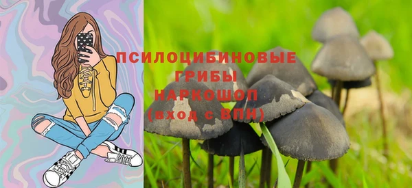 амф Киреевск