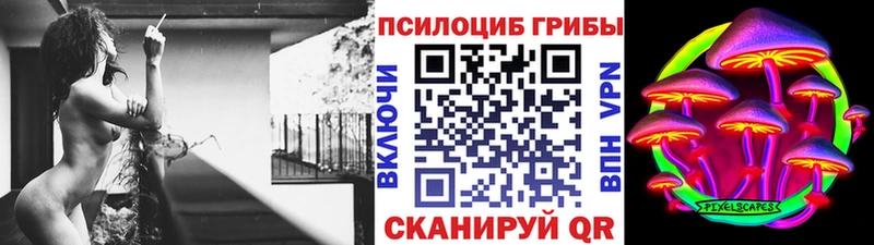 Купить где  Киселёвск  Галлюциногенные грибы прущие грибы 